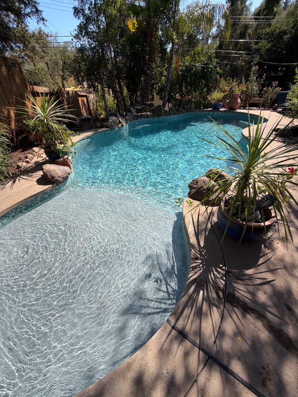 Crystal-clear freeform pool with a shallow beach entry and potted plants on the deck