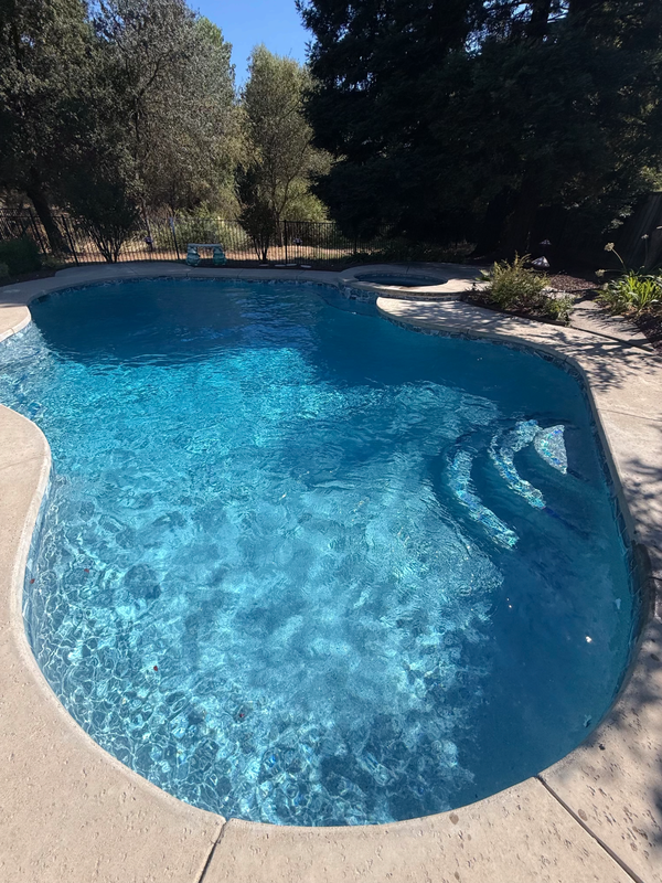 Kidney-shaped pool with a raised spa, concrete deck, and trees behind the fence